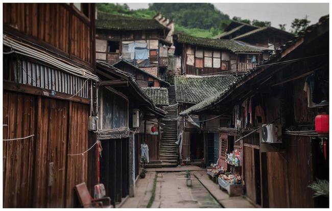 虫虫助手下载